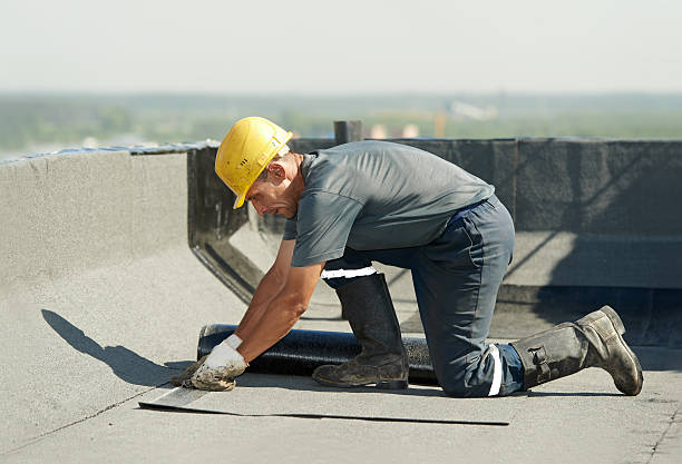 Best Insulation Contractor Near Me  in Scottsville, KY